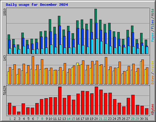 Daily usage for December 2024