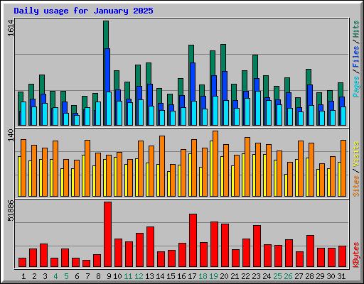 Daily usage for January 2025