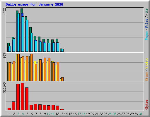 Daily usage for January 2026
