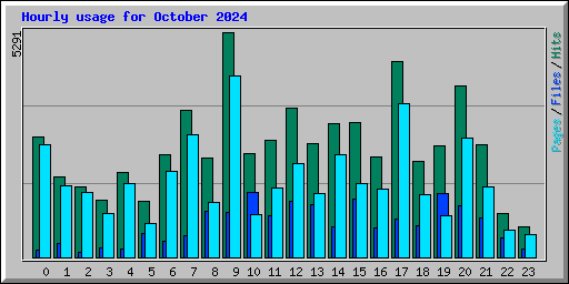 Hourly usage for October 2024