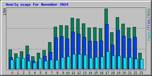 Hourly usage for November 2024
