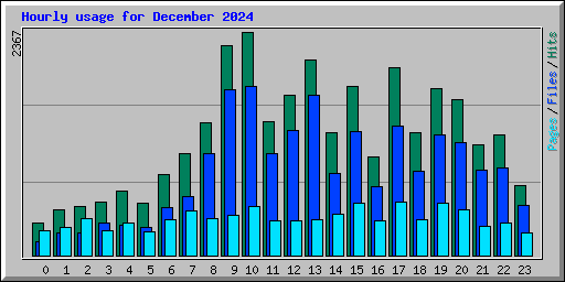 Hourly usage for December 2024