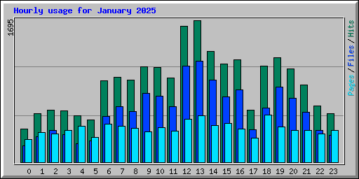 Hourly usage for January 2025