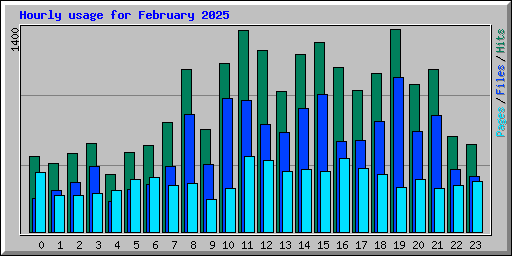 Hourly usage for February 2025