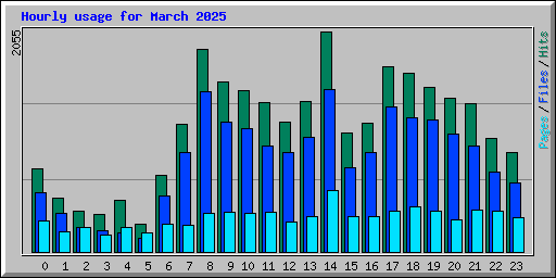 Hourly usage for March 2025