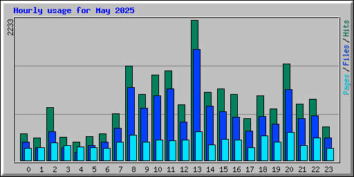 Hourly usage for May 2025