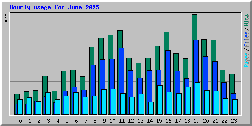 Hourly usage for June 2025