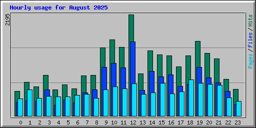 Hourly usage for August 2025