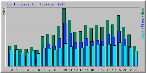 Hourly usage for November 2025
