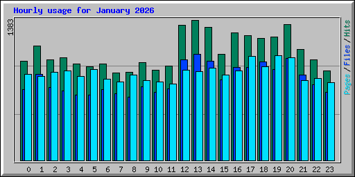 Hourly usage for January 2026