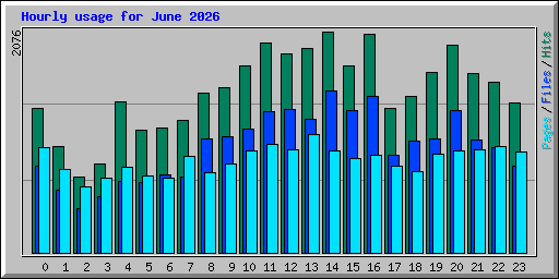Hourly usage for June 2026