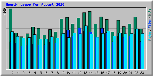 Hourly usage for August 2026